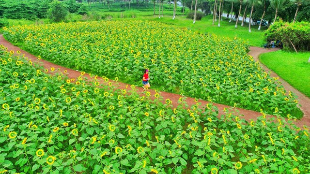 “Thi&#234;n đường” của người y&#234;u thể thao trong đ&#244; thị xanh lớn nhất miền Bắc - Ảnh 2