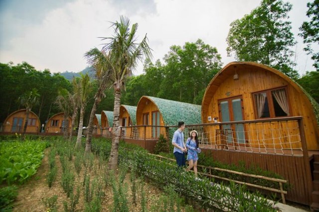 M&ocirc; h&igrave;nh farmstay, độc đ&aacute;o v&agrave; hấp dẫn kh&aacute;ch du lịch &nbsp;