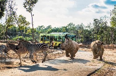 Vinpearl Safari Ph&uacute; Quốc