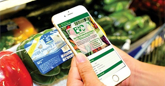 Kết luận 207-KL/TW đặt yêu cầu mới về minh bạch chuỗi cung ứng và giúp doanh nghiệp tạo “hộ chiếu vàng” cho sản phẩm xuất khẩu.