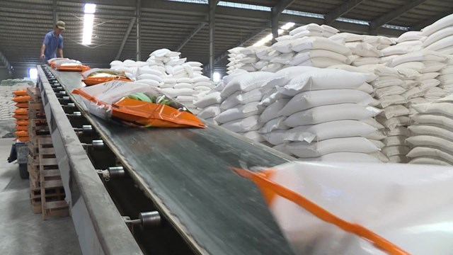Gạo Việt Nam đ&oacute;ng bao xuất khẩu thế giới