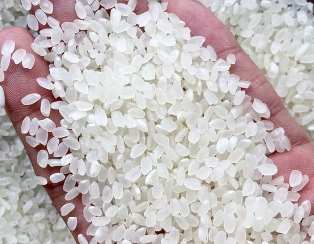 Gạo phát thải thấp - low carbon' của Việt Nam xuất khẩu vào thị trường Nhật Bản. Ảnh minh họa