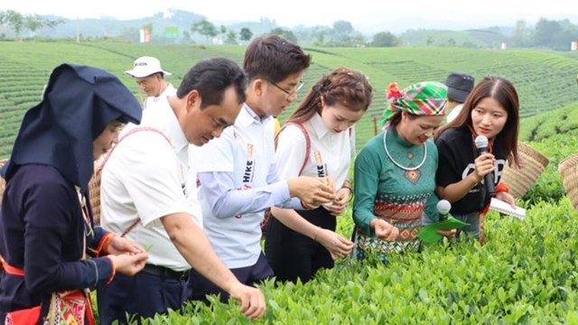 Triển l&#227;m &#39;Di sản vươn tầm&#39;: Chiến lược đưa tr&#224; Th&#225;i Nguy&#234;n kết nối to&#224;n cầu - Ảnh 1