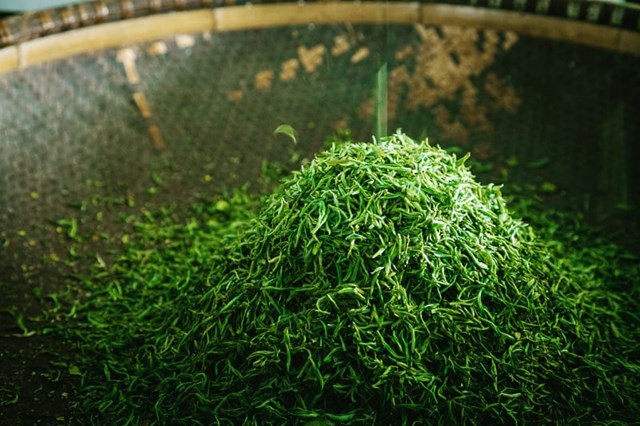 Hương cốm của tr&#224; T&#226;n Cương - Ảnh 2