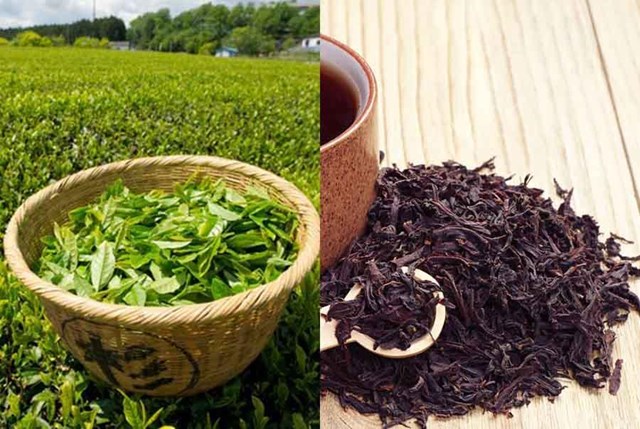 Việt Nam đ&atilde; chế biến được khoảng 15 loại ch&egrave; kh&aacute;c nhau, trong đ&oacute; ch&egrave; đen v&agrave; ch&egrave; xanh l&agrave; hai sản phẩm chủ lực