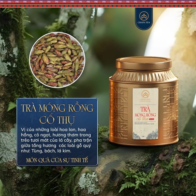 Từ v&ugrave;ng sương m&ugrave; T&acirc;y C&ocirc;n Lĩnh v&agrave; Chi&ecirc;u Lầu Thi, tr&agrave; M&oacute;ng Rồng sinh trưởng như một m&oacute;n qu&agrave; hiếm của thi&ecirc;n nhi&ecirc;n