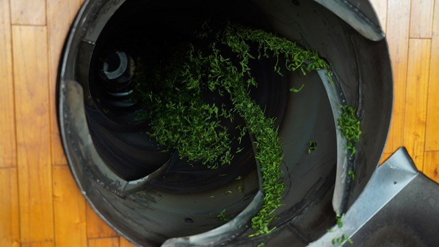 Công trình ống diệt men chè ứng dụng vào sản xuất của bà Đào Thanh Hảo, Giám đốc HTX Chè Hảo Đạt.