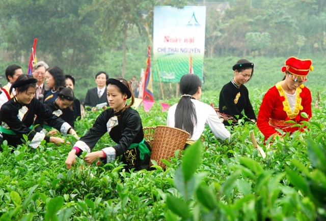 Ng&agrave;y hội Ch&egrave; Th&aacute;i Nguy&ecirc;n