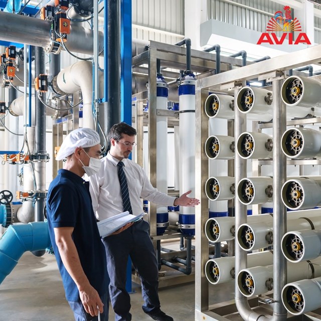 AVIA 3A – Nước tinh khiết an to&#224;n cho sức khỏe v&#224; đường ti&#234;u h&#243;a nhạy cảm của trẻ - Ảnh 3