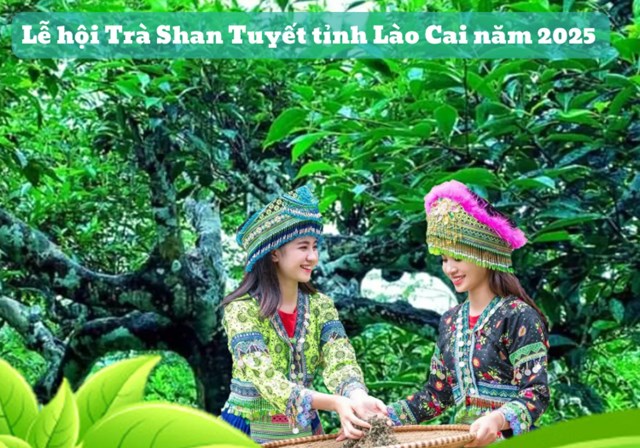 Lễ hội Trà Shan Tuyết tỉnh Lào Cai năm 2025 sẽ diễn ra từ ngày 21 đến 22/11 tại xã Văn Chấn.