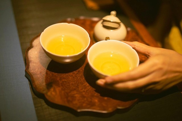 Định vị tr&#224; Shan tuyết cổ thụ Việt tr&#234;n bản đồ thế giới - Ảnh 1