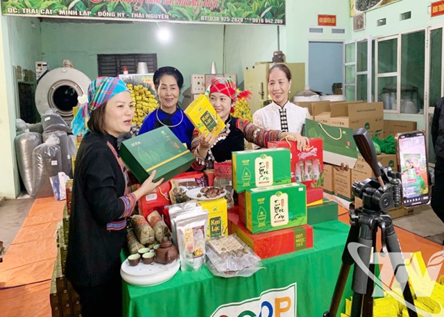 Livestream bán hàng là một trong những phương thức giới thiệu, tiêu thụ sản phẩm chè hiệu quả.