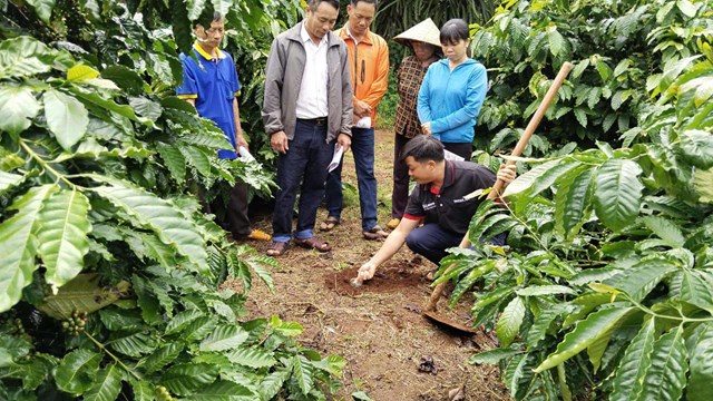 N&ocirc;ng d&acirc;n tham gia Chương tr&igrave;nh NESCAF&Eacute; Plan được tập huấn phương ph&aacute;p canh t&aacute;c bền vững &nbsp;