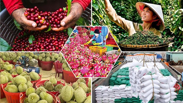 Năm 2025: Bước ngoặt lịch sử v&#224; kh&#225;t vọng 70 tỷ USD của n&#244;ng sản Việt - Ảnh 1