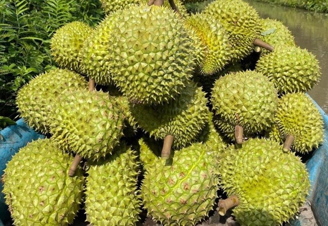 C&#250; h&#237;ch từ năm Nghị định thư: N&#244;ng sản Việt mở rộng c&#225;nh cửa v&#224;o thị trường tỷ d&#226;n - Ảnh 1