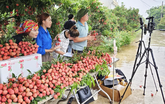 S&#224;n thương mại điện tử: K&#234;nh ti&#234;u thụ hiệu quả cho n&#244;ng sản OCOP - Ảnh 2