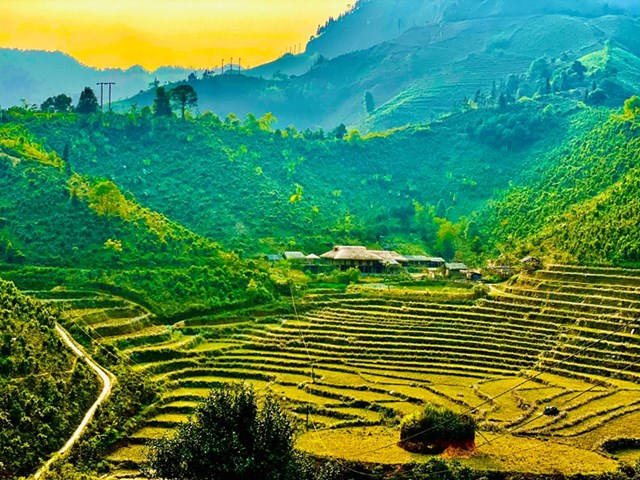 Hương vị ch&#232; Shan tuyết Bản Liền: Kết tinh của di sản  - Ảnh 2