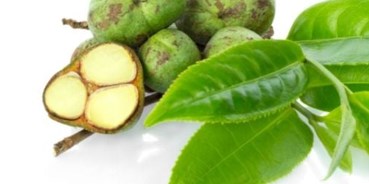 Hạt chè, ẩn chứa nguồn dinh dưỡng phong phú giúp tăng cường sức khỏe tim mạch.