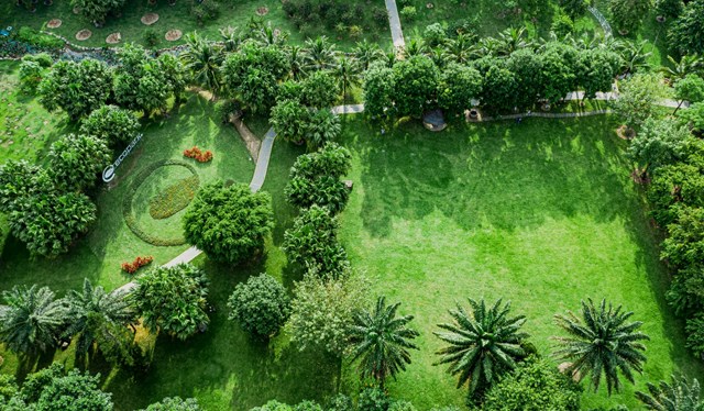 Những mảng rừng xanh vun đắp t&#226;m hồn tại KĐT Ecopark - Ảnh 6