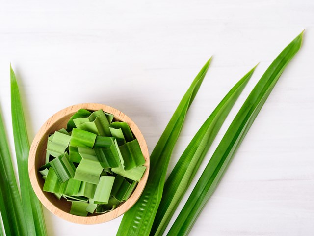 L&#225; dứa – Hương liệu Việt trong ng&#224;nh đồ uống  - Ảnh 3