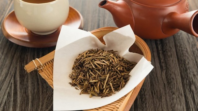 T&#236;m hiểu về tr&#224; Hojicha v&#224; c&#244;ng dụng khi uống tr&#224; mỗi ng&#224;y - Ảnh 1