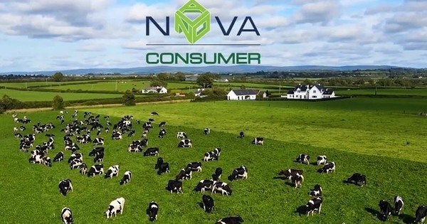 HOSE dừng xem x&#233;t hồ sơ đăng k&#253; ni&#234;m yết của Nova Consumer (NCG) - Ảnh 1