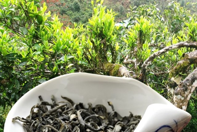 Ch&egrave; Việt, nhờ chất lượng tốt, gi&aacute; cả hợp l&yacute; v&agrave; đậm bản sắc bản địa, ho&agrave;n to&agrave;n đủ sức thu h&uacute;t nh&oacute;m người ti&ecirc;u d&ugrave;ng trung lưu.