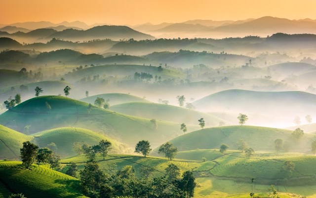 Long Cốc: Hành trình biến 'ốc đảo chè' trung du thành điểm sáng kinh tế xanh  - Ảnh 1