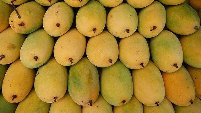 Việt Nam xuất khẩu xo&#224;i lớn thứ 3 tại thị trường H&#224;n Quốc - Ảnh 1