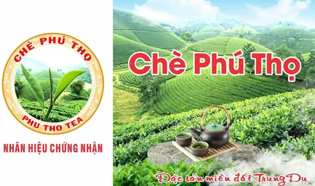 Nh&atilde;n hiệu chứng nhận Ch&egrave; Ph&uacute; Thọ được Cục Sở hữu tr&iacute; tuệ cấp quyền bảo hộ.
