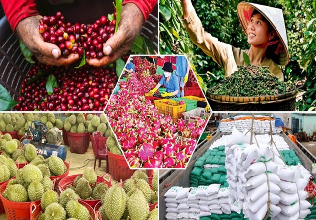 Kim ngạch xuất khẩu rau quả năm 2025 vượt mốc 8,5 tỷ USD, tăng gần 20% so với năm trước v&agrave; x&aacute;c lập mức cao nhất từ trước đến nay.