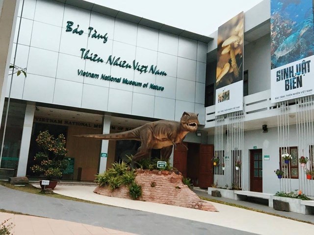 Bảo t&agrave;ng Thi&ecirc;n nhi&ecirc;n Việt Nam