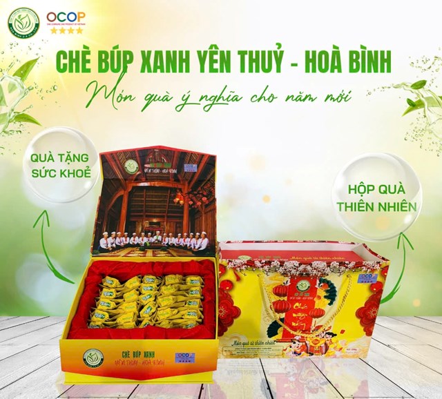 Ch&#232; b&#250;p xanh Y&#234;n Thủy - H&#242;a B&#236;nh: Dấu ấn thương hiệu ch&#232; Việt năm 2024 - Ảnh 9