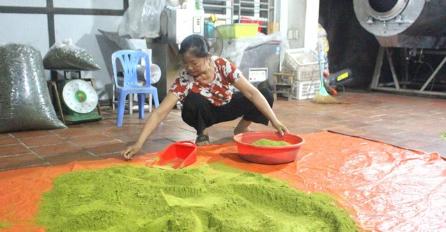 Gia đình bà Mai Thị Ánh là hộ tiên phong trong sản xuất bột trà xanh ở Tân Cương.