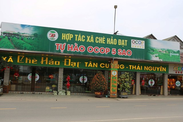 Không gian sản xuất và trải nghiệm của Hợp tác xã chè Hảo Đạt tại xã Tân Cương (TP. Thái Nguyên). Ảnh: Phi Long.