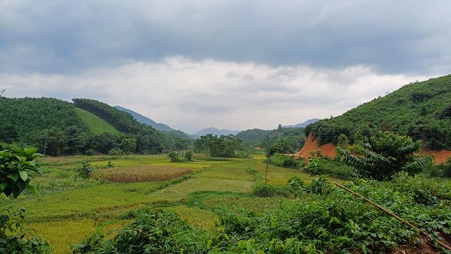 Ph&#250; Thọ: X&#227; Văn Miếu nỗ lực ho&#224;n th&#224;nh mục ti&#234;u x&#226;y dựng N&#244;ng th&#244;n mới năm 2025 - Ảnh 1