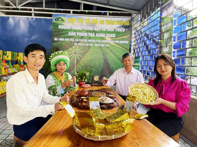 Du khách đến HTX trà an toàn Phú Đô (Thái Nguyên) trải nghiệm và thưởng thức nụ hoa trà.