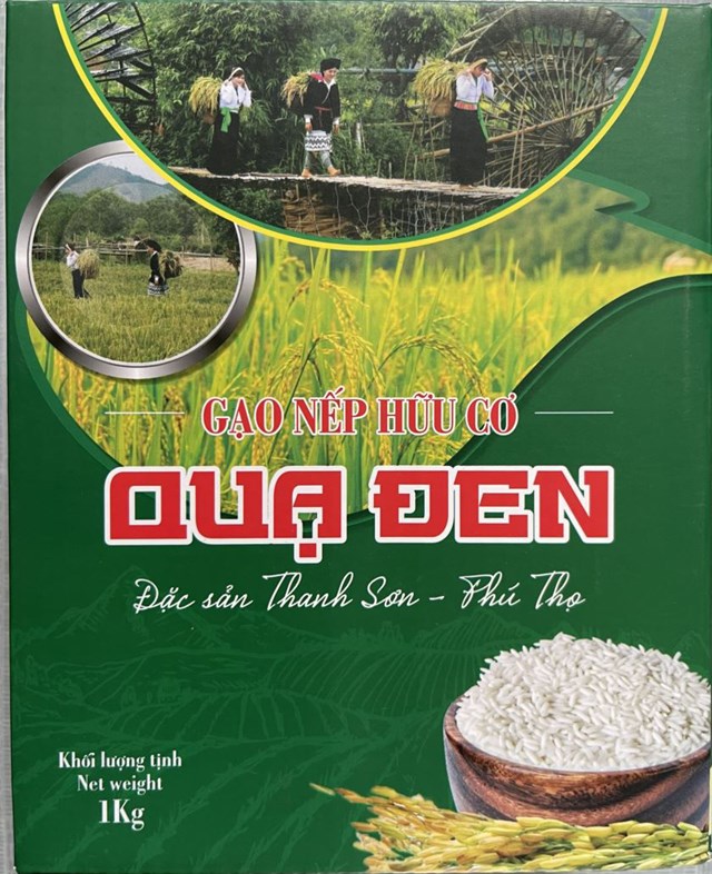 Gạo nếp Quạ đen - Đặc sản Thanh Sơn phấn đấu trở th&#224;nh sản phẩm OCOP - Ảnh 1