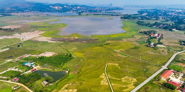 Mô hình lúa nếp đặc sản Quạ đen tại xã Thắng Sơn, huyện Thanh Sơn cho năng suất và thu nhập cao.