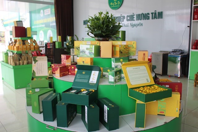 Với mục tiêu phát triển ngành chè Phú Lương gắn với cơ cấu lại ngành nông nghiệp theo hướng bền vững, hiện đại, nâng cao chất lượng, huyện phấn đấu đến năm 2030 mở rộng diện tích chè lên 4.500ha, sản lượng chè búp tươi đạt trên 51.000 tấn. Trong đó có 70% diện tích chè được chứng nhận sản xuất theo tiêu chuẩn GAP, hữu cơ; 70% diện tích chè được cấp mã số vùng trồng. Huyện cũng phấn đấu giá trị sản phẩm chè đạt 2.000 tỷ đồng/năm.  Thực hiện Nghị quyết số 11-NQ/TU ngày 3/2/2025 của Ban Chấp hành Đảng bộ tỉnh về phát triển ngành chè Thái Nguyên giai đoạn 2025-2030, để hoàn thành các mục tiêu nêu trên, huyện Phú Lương đang tích cực triển khai thực hiện nhiều giải pháp, như: Tiếp tục rà soát, hoàn thiện các cơ chế, chính sách và huy động các nguồn lực đầu tư phát triển ngành chè; hoàn thiện quy hoạch các vùng sản xuất gắn với quy hoạch, kế hoạch sử dụng đất nông, lâm nghiệp để mở rộng diện tích trồng chè trên địa bàn; tập trung ứng dụng khoa học công nghệ trong sản xuất, chế biến chè.  Cùng với đó là xây dựng và phát triển thương hiệu chè Phú Lương có sức cạnh tranh cao; tăng cường quảng bá, nâng cao thương hiệu gắn với xúc tiến thương mại, tiêu thụ sản phẩm trà. Đồng thời, triển khai hiệu quả công tác bảo tồn, nâng cao giá trị văn hóa vật thể, phi vật thể của trà Phú Lương…