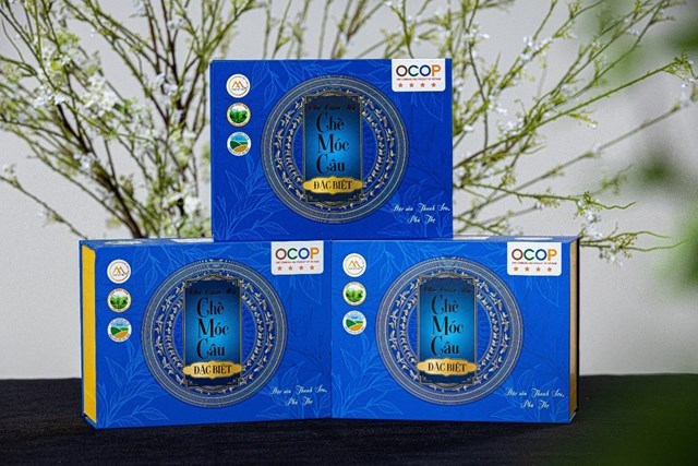 Sản phẩm chè của HTX chè Cẩm Mỹ - Thanh Sơn đạt OCOP 4 sao.