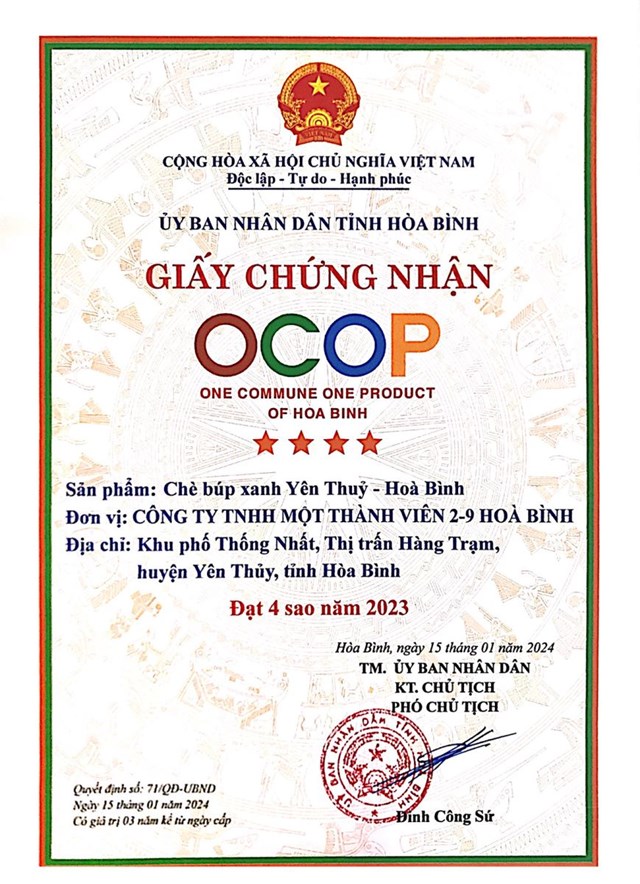 Giấy chứng nhận OCOP 4 sao&nbsp;ch&egrave; b&uacute;p xanh Y&ecirc;n Thủy - H&ograve;a B&igrave;nh.