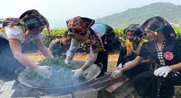 Sao chè đòi hỏi rất nhiều kinh nghiệm và cả kỹ thuật.