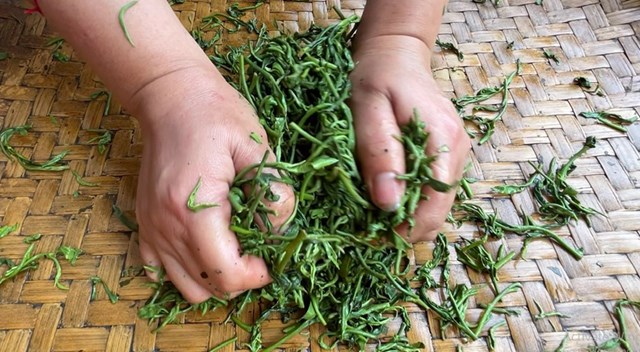 Lai Ch&#226;u: Ấn tượng &quot;Lễ hội tr&#224; v&#224; Tuần Văn h&#243;a Du lịch huyện T&#226;n Uy&#234;n lần thứ nhất năm 2024&quot; - Ảnh 1