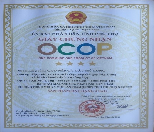Sản phẩm gạo nếp gà gáy Mỹ Lung được UBND tỉnh Phú Thọ chứng nhận sản phẩm Ocop 4 sao tại quyết định số: 3050/QĐ-UBND ngày 18/11/2022.