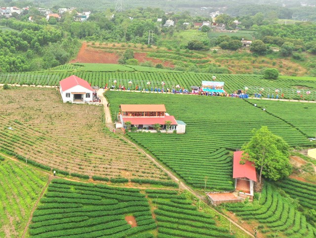 Đồi chè Quảng Long, nơi diễn ra Ngày hội trà Đồi chè Quảng Long của Công ty TNHH Thuấn Quỳnh được chọn là nơi diễn ra Ngày hội ẩm thực trà cuối tháng 4 vừa qua.