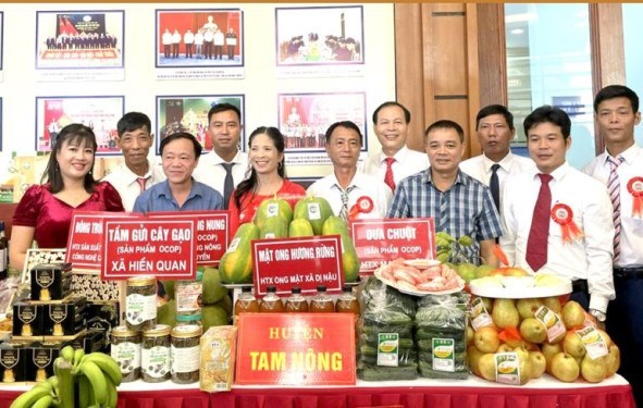Huyện Tam Nông hỗ trợ các tổ chức, cá nhân tham gia Chương trình OCOP.