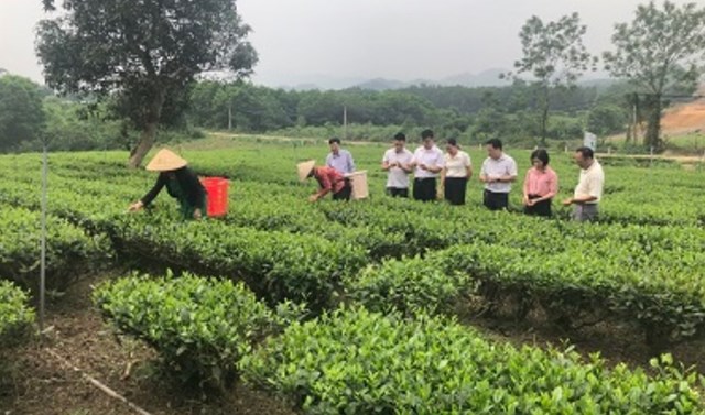 Lãnh đạo Hội Nông dân TP. Phổ Yên tham quan HTX chè Công Tâm Minh Đức.