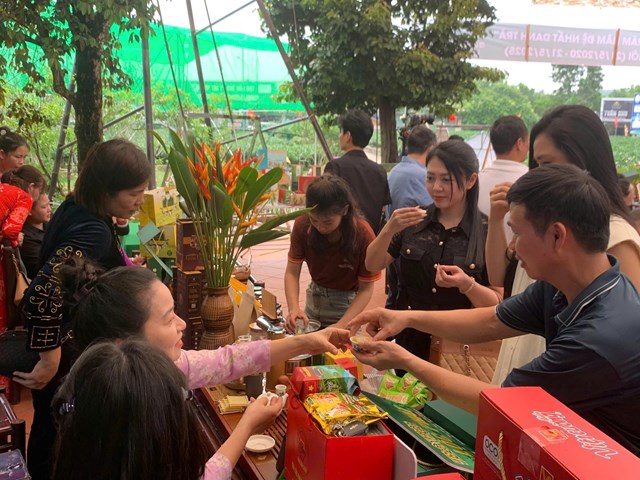 Th&#225;i Nguy&#234;n: Tổ chức diễn đ&#224;n trăm năm đệ nhất danh tr&#224;, hưởng ứng năm năm ng&#224;y tr&#224; thế giới - Ảnh 3