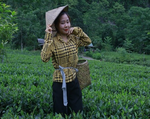 Chị Lê Thị Nhung, chủ nhãn hiệu trà Tuấn Nhung, bên nương chè (trà) hữu cơ.